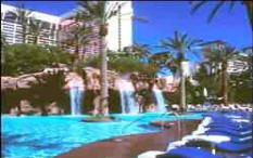 Flamingo pool