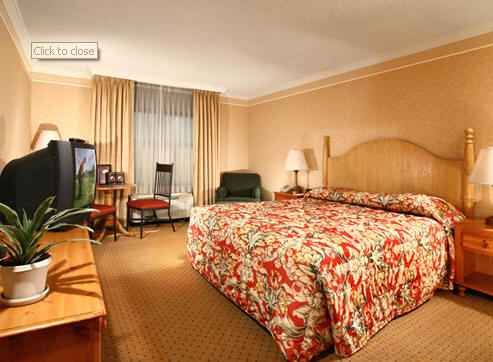 texas station room hotel casino youtube