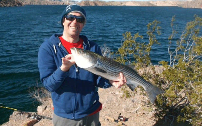 Largemouth Bass Fishing From A Paddle Boat at Lake Mead, Nevada 